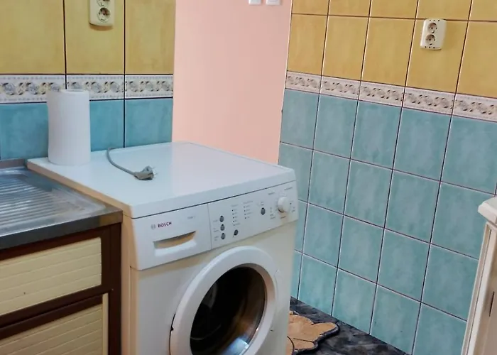 Complex Studentesc Timişoara